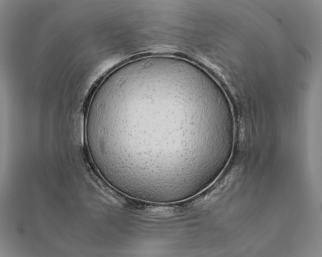 X0000112071171200908181213