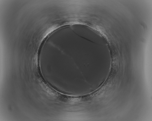 X0000112071173200908181213