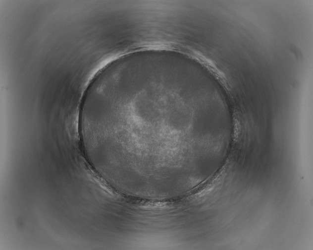 X0000112071174200908181213