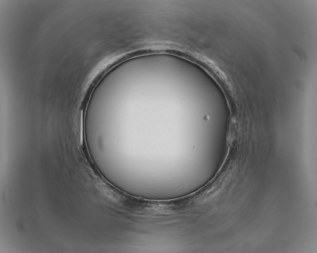 X0000112071175200908181213