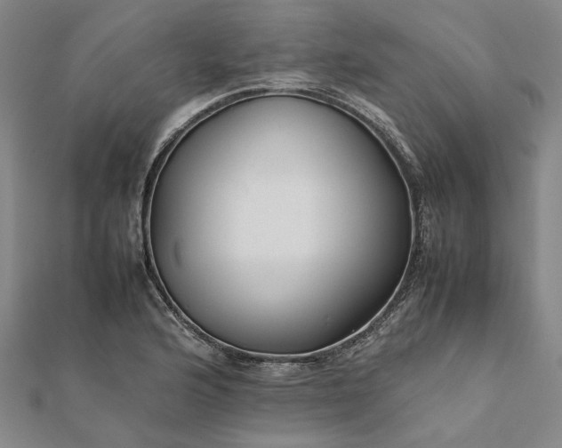 X0000112071176200908181213