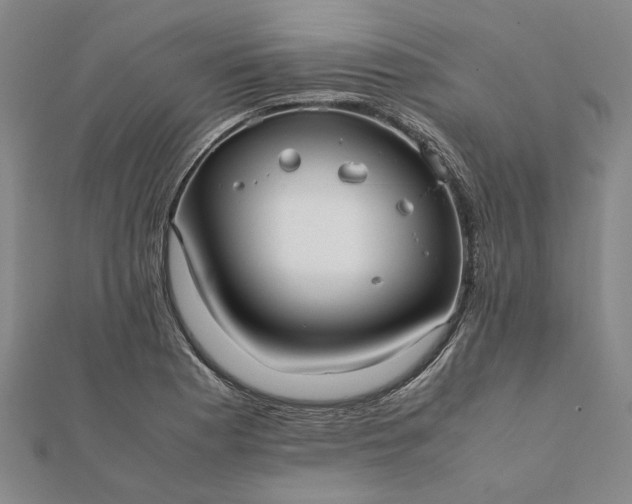 X0000112071177200908181213