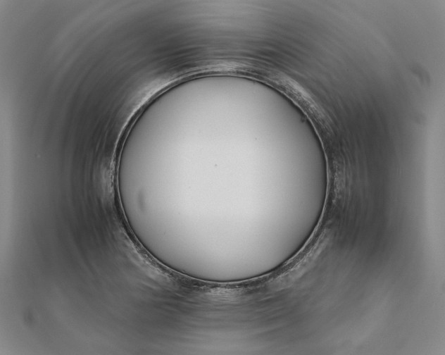 X0000112071178200908181213