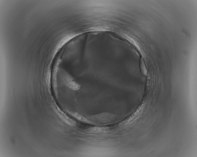 X0000112071179200908181213