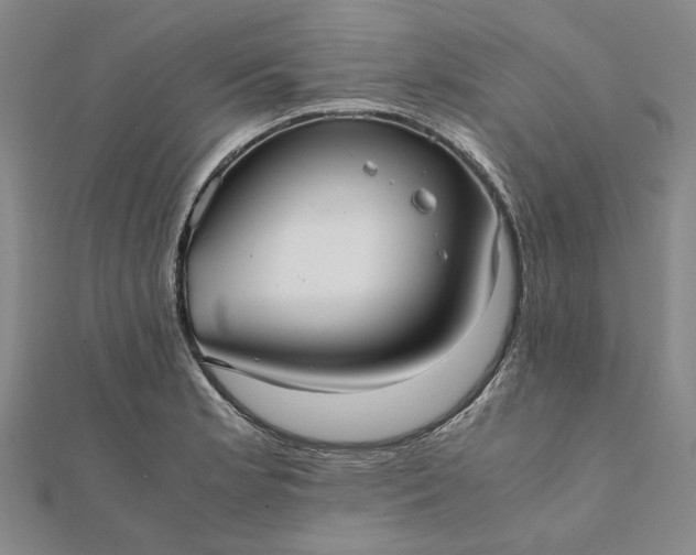 X0000112071181200908181213