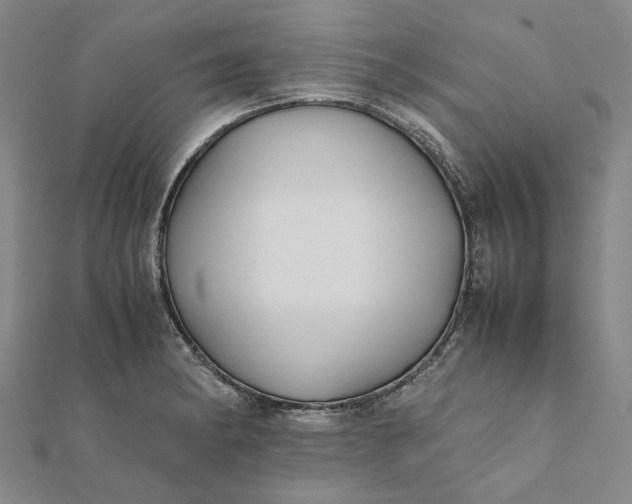 X0000112071182200908181213