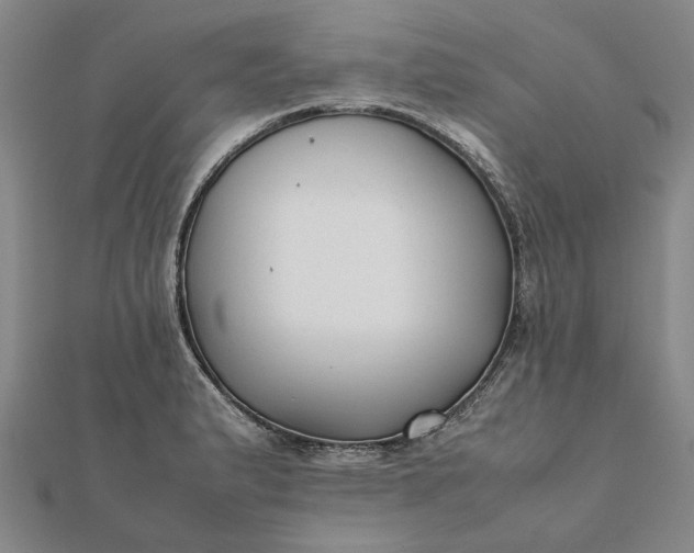 X0000112071183200908181213