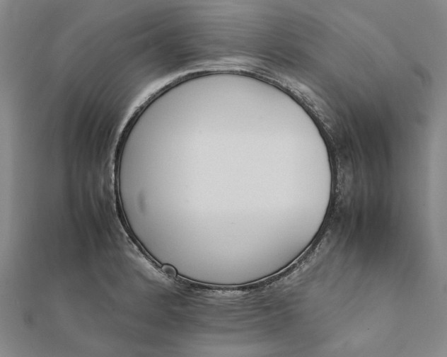 X0000112071184200908181213