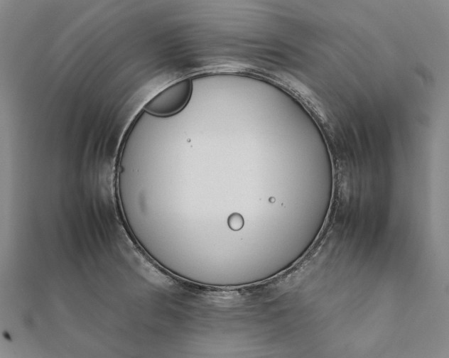 X0000112071186200908181213