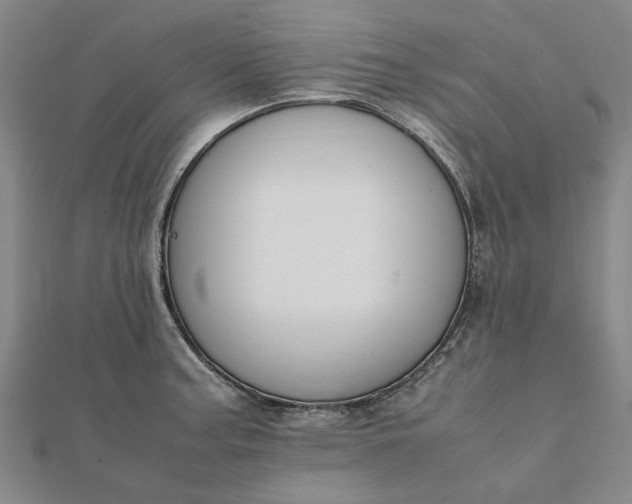 X0000112071187200908181213