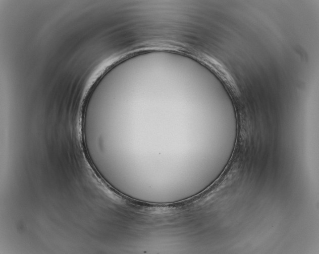 X0000112071188200908181213