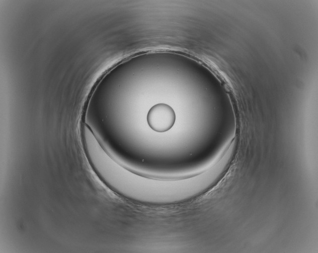 X0000112071189200908181213