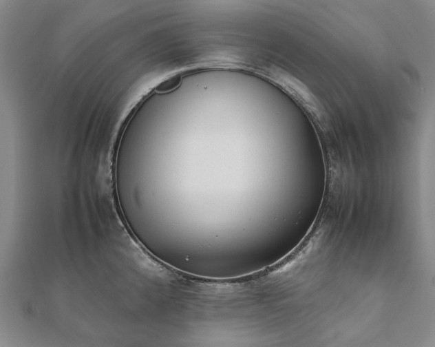 X0000112071192200908181213