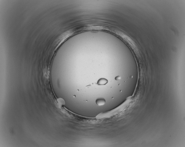 X0000112071193200908181213