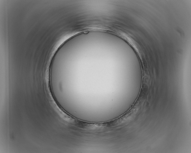 X0000112071195200908181213