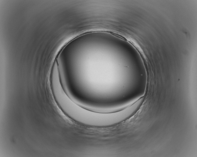 X0000112071197200908181213