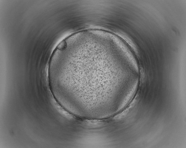 X0000112071198200908181213