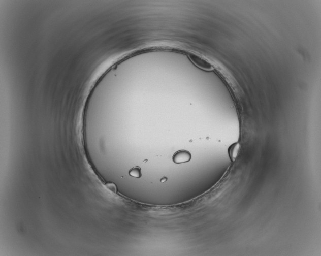 X0000112071199200908181213