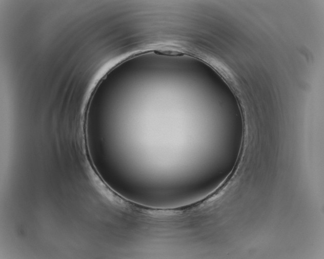 X0000112071200200908181213