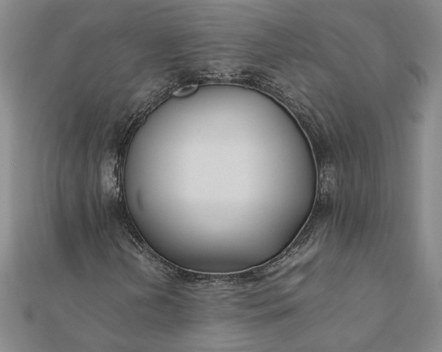 X0000112071202200908181212