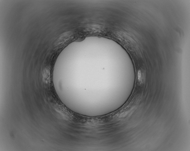 X0000112071203200908181212