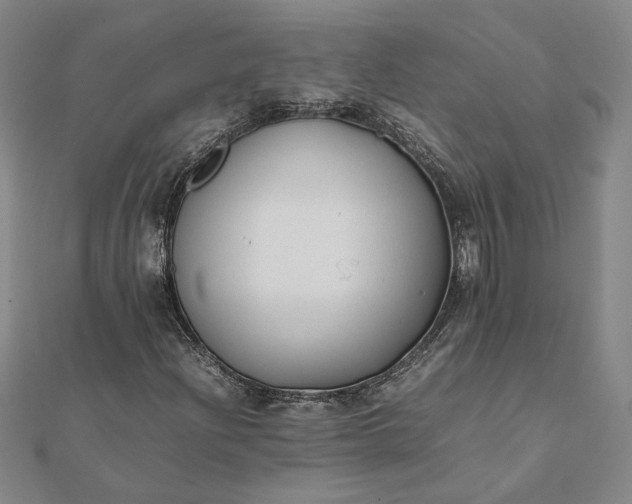 X0000112071204200908181212