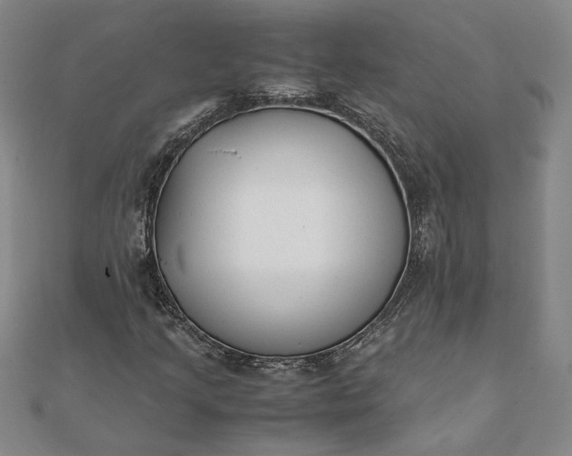 X0000112071205200908181212