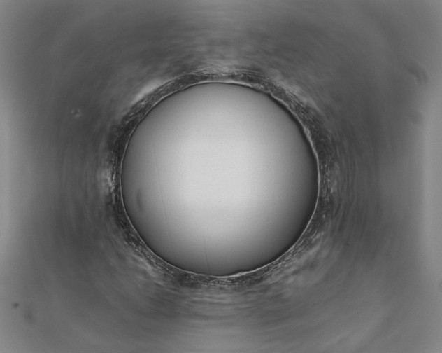 X0000112071206200908181212