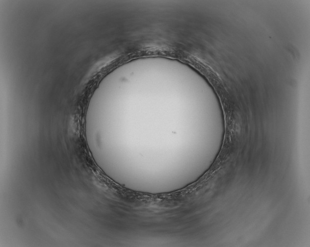 X0000112071207200908181212