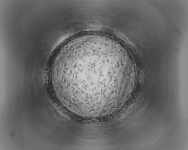 X0000112071208200908181212