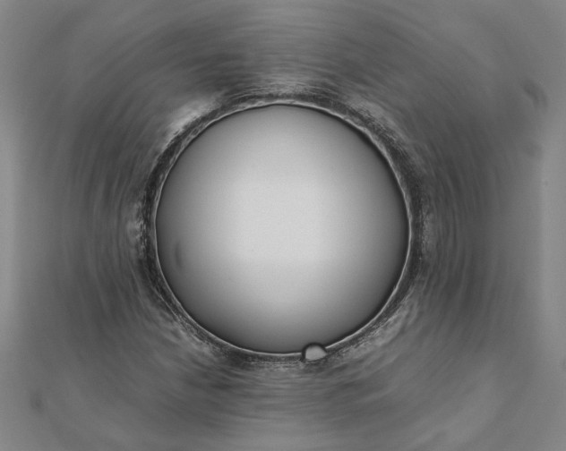 X0000112071210200908181212