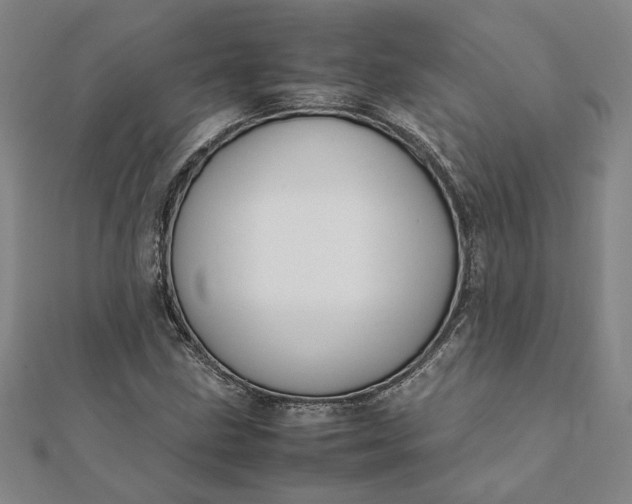 X0000112071211200908181212