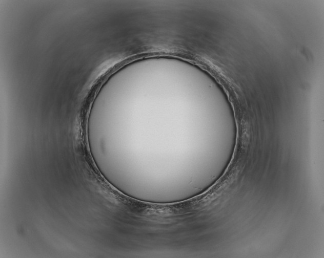 X0000112071215200908181212