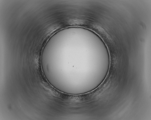 X0000112071217200908181212