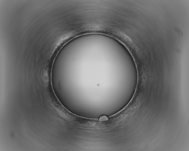 X0000112071218200908181212