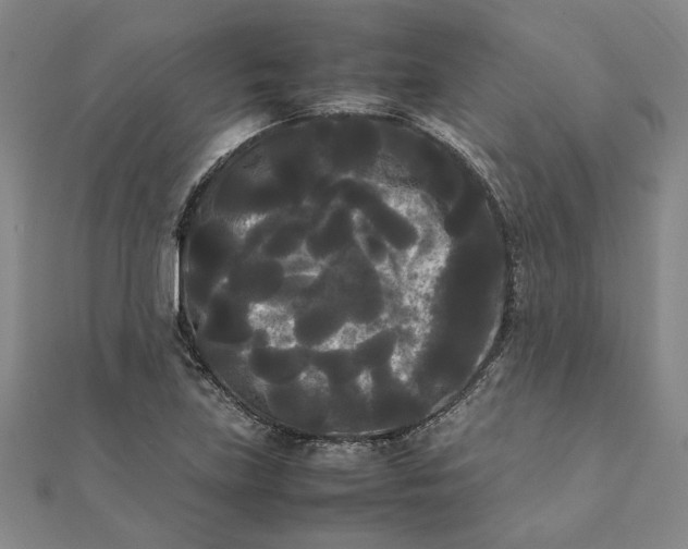 X0000112071219200908181212