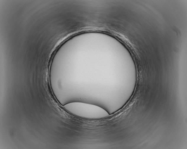 X0000112071220200908181213