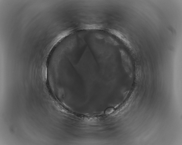 X0000112071221200908181213