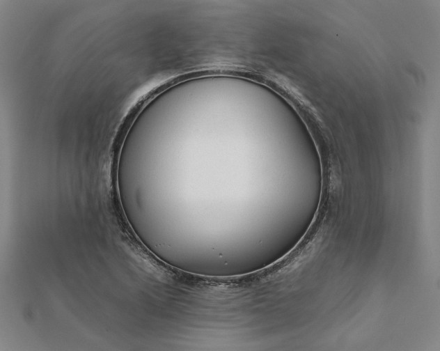 X0000112071222200908181213