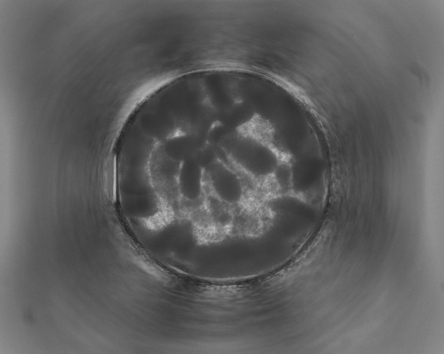 X0000112071223200908181213