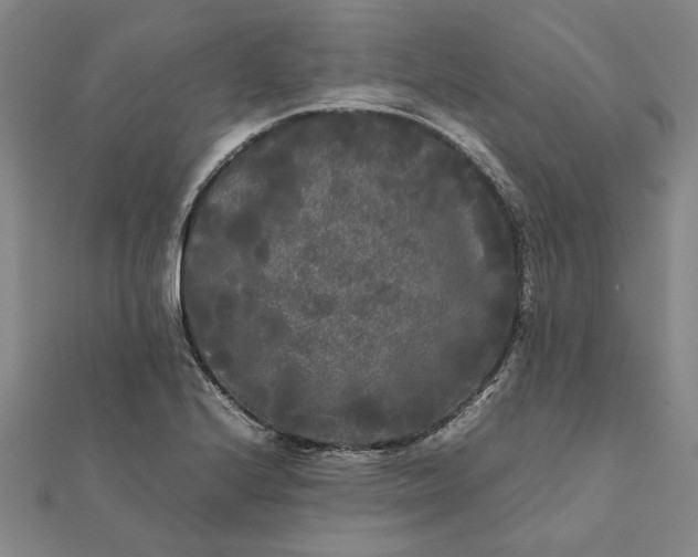 X0000112071224200908181213