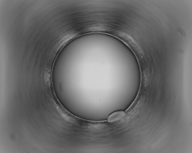 X0000112071225200908181213