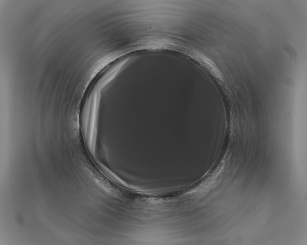 X0000112071226200908181213