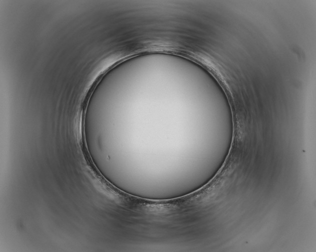 X0000112071227200908181213