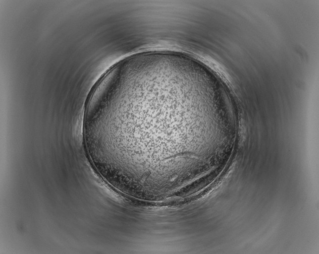 X0000112071228200908181213