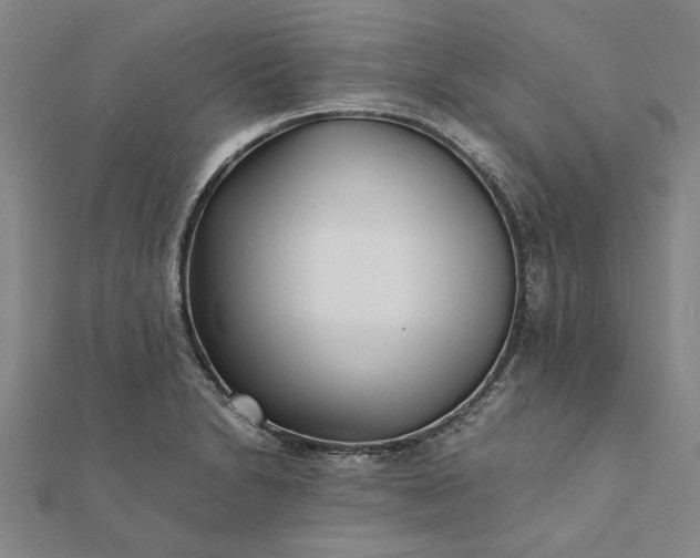 X0000112071230200908181213