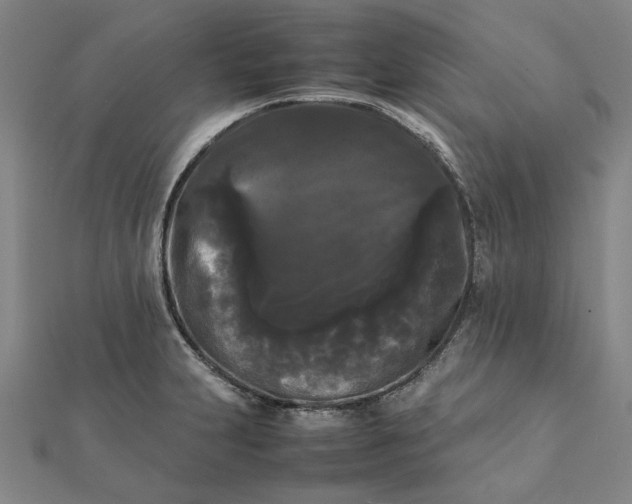 X0000112071231200908181213