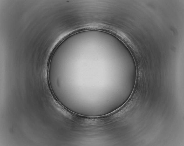 X0000112071232200908181213