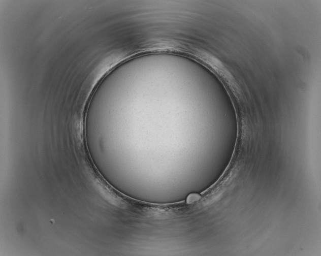 X0000112071234200908181213