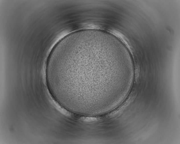 X0000112071235200908181213